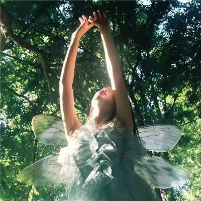 黑狐：阿道夫·希特勒的兴衰